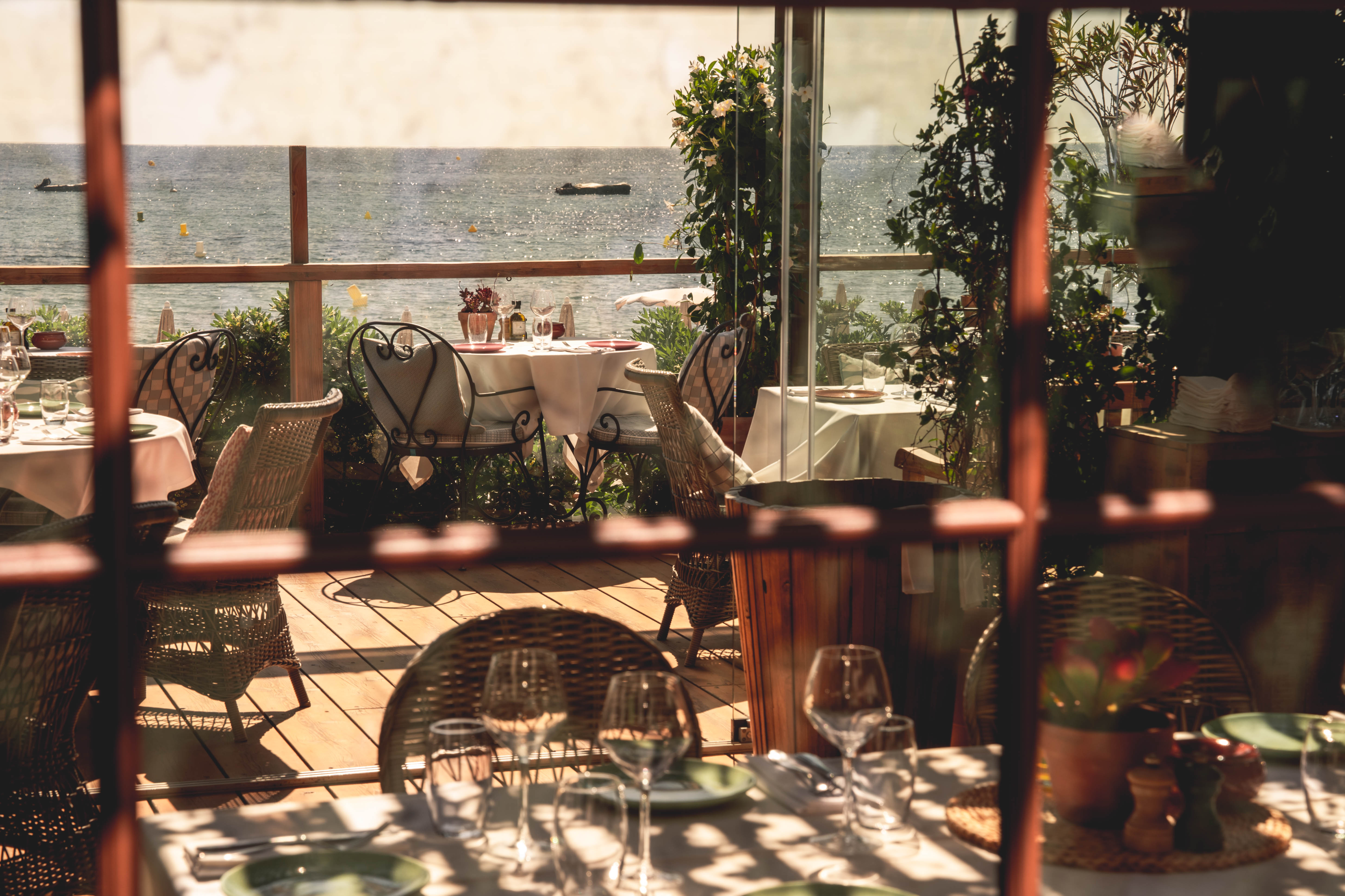 Jardin Tropezina